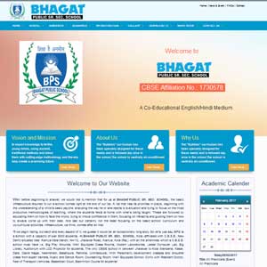 website design|psa digital india ltd.