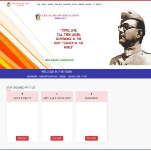 website design|psa digital india ltd.